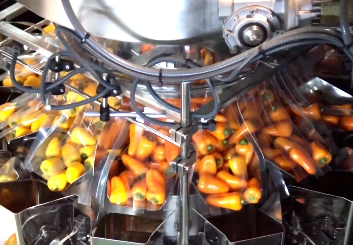 Csomagolósor háromszínű mini paprikákhoz párnazsákokban