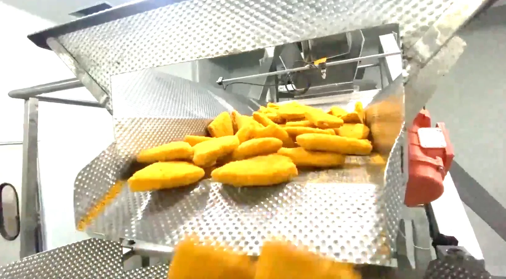 Csomagolósor csirkefiléhez és fagyasztott nuggetshez 500g-os és 1kg-os zsákokban.