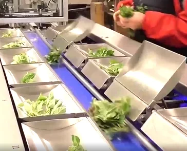 Lineáris asszociatív mérleg hosszúkás és törékeny termékekhez