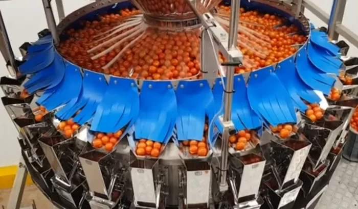 Cseresznyeparadicsom