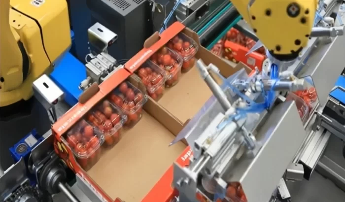 Cseresznyeparadicsom