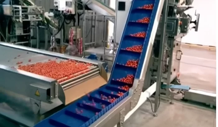 Cseresznyeparadicsom