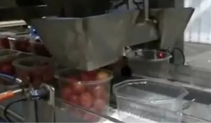 Cseresznyeparadicsom