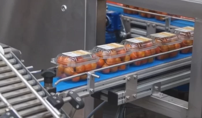 Cseresznyeparadicsom