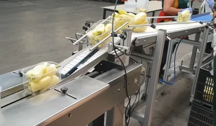 Paprikák (kombinált)