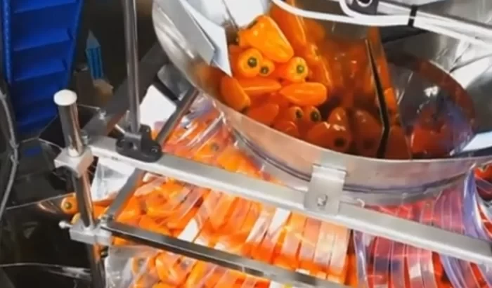 Három színű minipaprikák