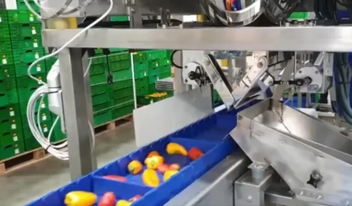 Három színű minipaprikák