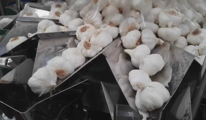 Csőhálós fokhagymák